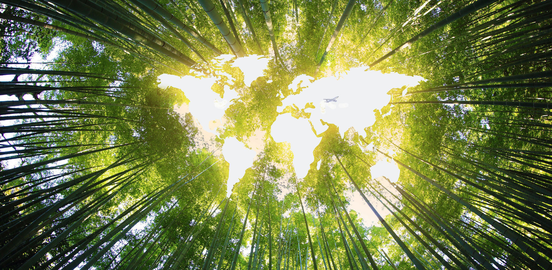 Wind Power/Photovoltaic/Electric Vehicle/Assisted Vehicle/Accessories